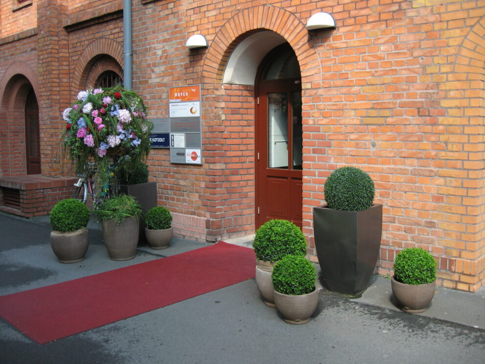 Ballhaus Walzerlinksgestrickt - Das Ballhaus in der Habelbrauerei