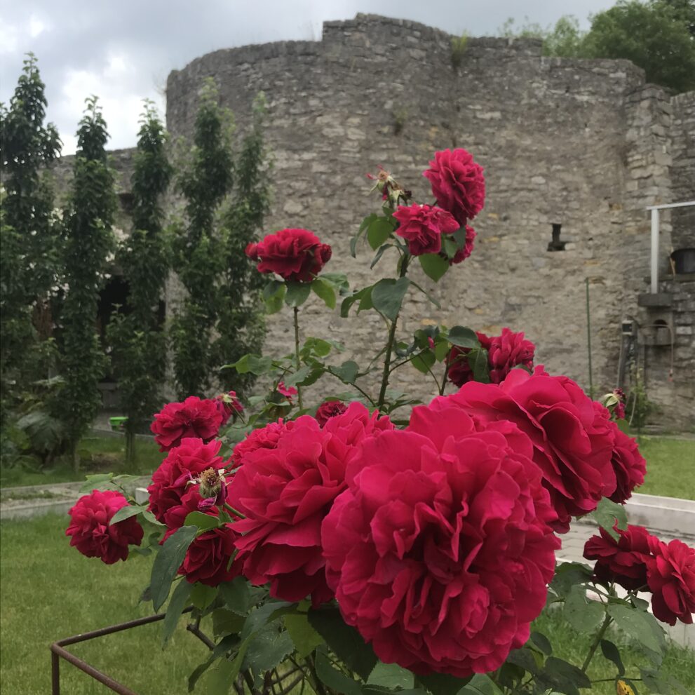 Burg Arnstein