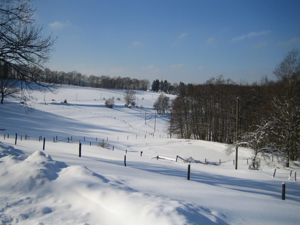 Landgasthof | Café Gut Ahe